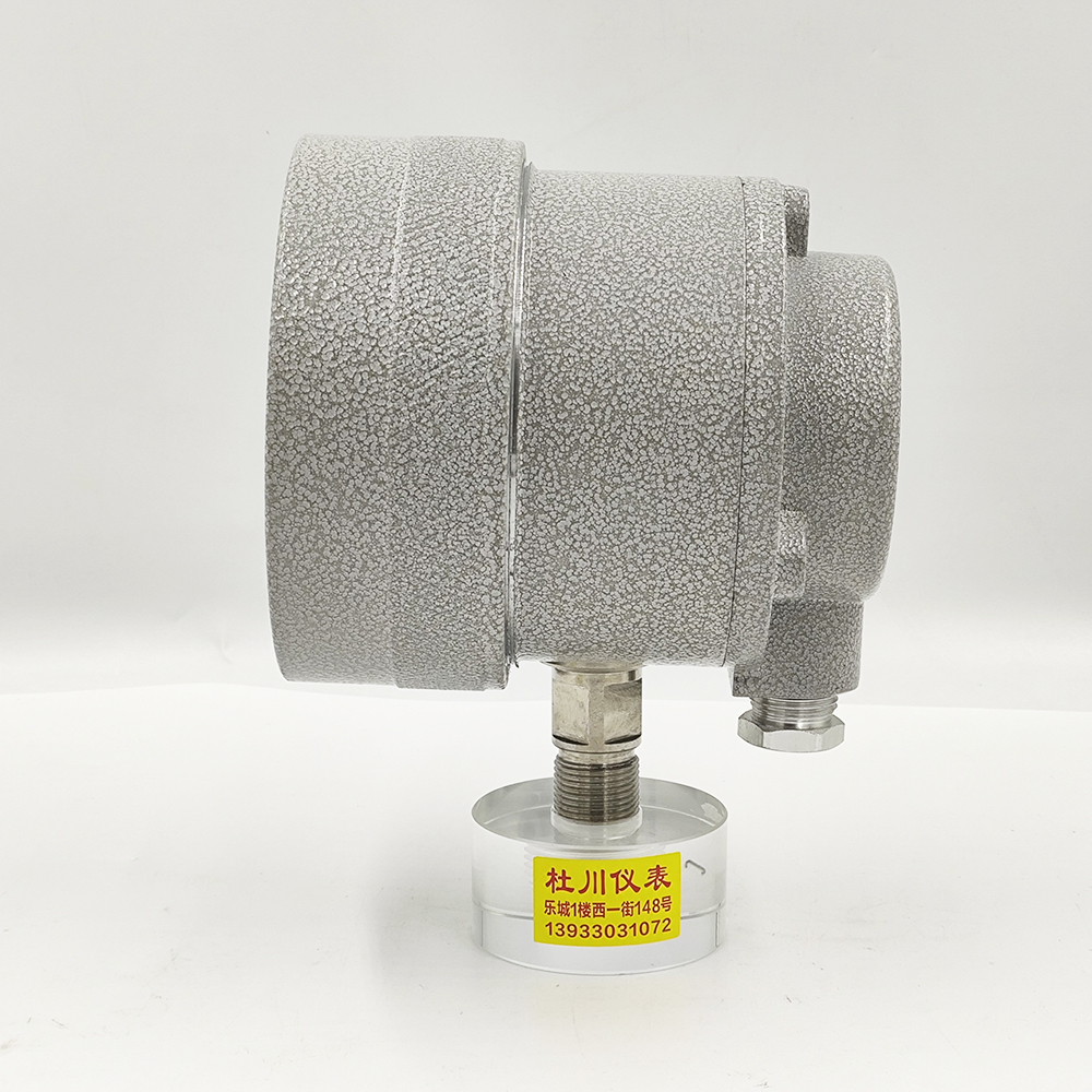 中表YTX-100B，-0.1-1.5MPa（2）.jpg