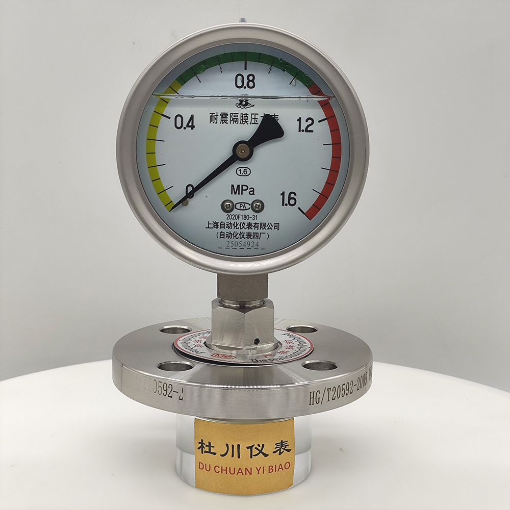 YNTP100BF法蘭DN25，膜片316L+PTFE（2）.jpg