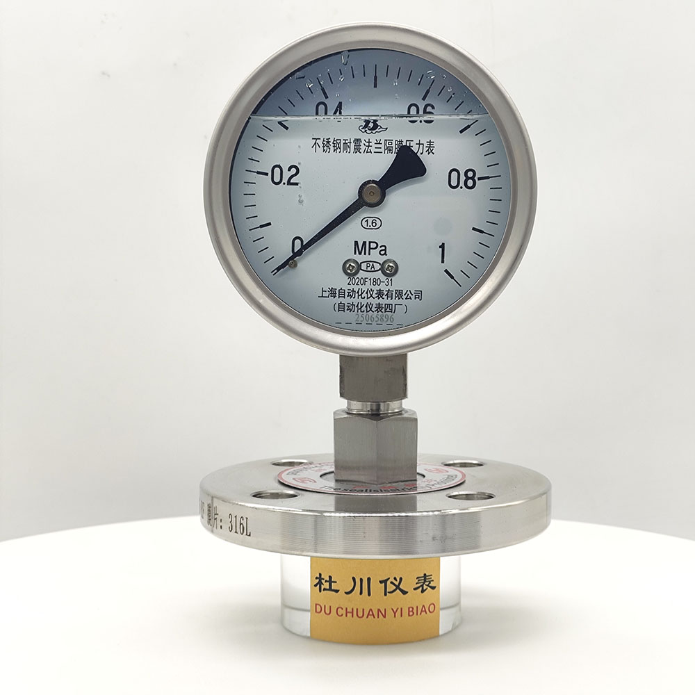 上海自動化YNTP100BF，DN25法蘭，1mpa.jpg