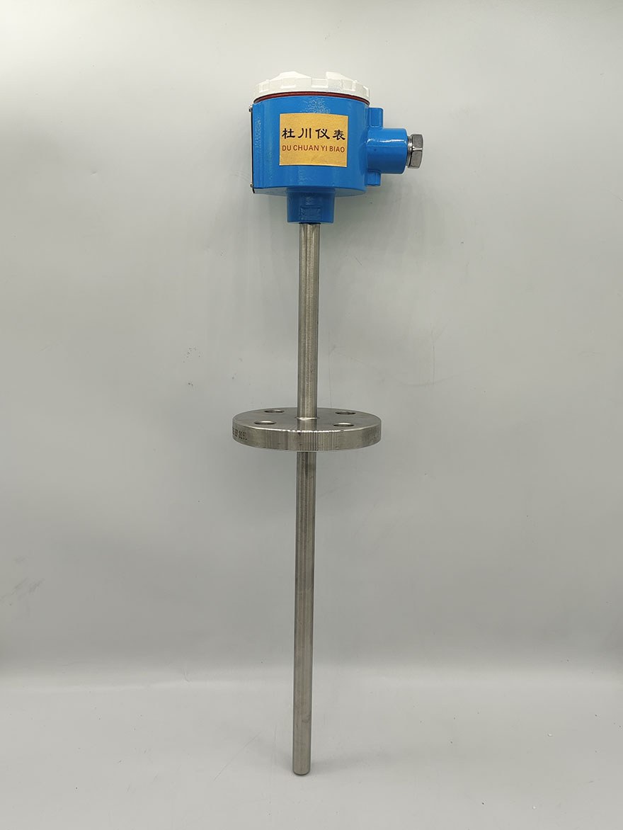 防爆熱電阻MM-SBWZR-441，-50-450℃，PT100，400x250mm，DN20.jpg